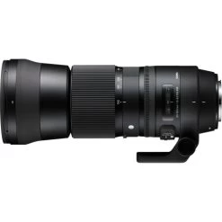 Sigma 150-600mm F/5-6.3 DG OS HSM Contemporary Lens For Nikon F W/Accessories 10 Sigma 150-600mm F/5-6.3 DG OS HSM Contemporary Lens For Nikon F W/Accessories -Outdoor Camera Shop 15988363 2