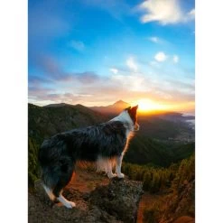 GoPro HERO10 Black Waterproof 5.3K Sports & Helmet Camera FY23 34 GoPro HERO10 Black Waterproof 5.3K Sports & Helmet Camera FY23 -Outdoor Camera Shop 16009646 14