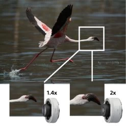 Sony FE 200-600mm F/5.6-6.3 G OSS Lens + BackPack + 64GB Card + More 17 Sony FE 200-600mm F/5.6-6.3 G OSS Lens + BackPack + 64GB Card + More -Outdoor Camera Shop 16591217 7