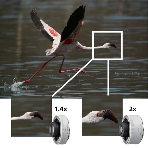 Sony FE 200-600mm F/5.6-6.3 G OSS Lens + BackPack + 64GB Card + More 10 Sony FE 200-600mm F/5.6-6.3 G OSS Lens + BackPack + 64GB Card + More - Image 8